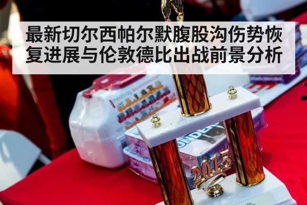 最新切尔西帕尔默腹股沟伤势恢复进展与伦敦德比出战前景分析